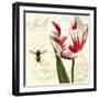 Natural History Sketchbook II-Tina Lavoie-Framed Giclee Print