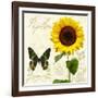 Natural History Sketchbook III-Tina Lavoie-Framed Giclee Print
