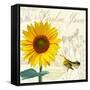 Natural History Sketchbook IV-Tina Lavoie-Framed Stretched Canvas