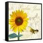 Natural History Sketchbook IV-Tina Lavoie-Framed Stretched Canvas