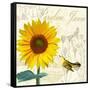 Natural History Sketchbook IV-Tina Lavoie-Framed Stretched Canvas