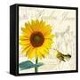 Natural History Sketchbook IV-Tina Lavoie-Framed Stretched Canvas