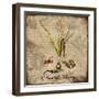 Natural History-Tina Lavoie-Framed Giclee Print