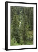 Natural Hot Spring Flowing Down a Rocky Slope High in the Jemez Mountains-null-Framed Photographic Print