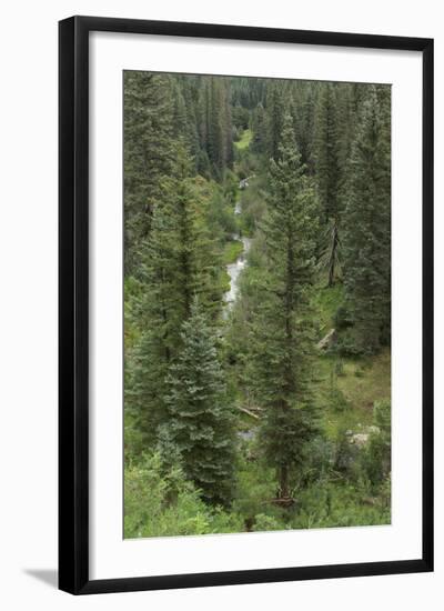 Natural Hot Spring Flowing Down a Rocky Slope High in the Jemez Mountains-null-Framed Photographic Print