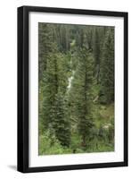 Natural Hot Spring Flowing Down a Rocky Slope High in the Jemez Mountains-null-Framed Photographic Print