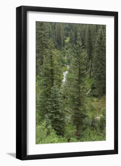 Natural Hot Spring Flowing Down a Rocky Slope High in the Jemez Mountains-null-Framed Photographic Print