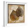 Natural Leaves I-Patricia Pinto-Framed Art Print