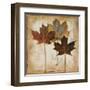 Natural Leaves III-Patricia Pinto-Framed Art Print