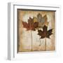 Natural Leaves III-Patricia Pinto-Framed Art Print