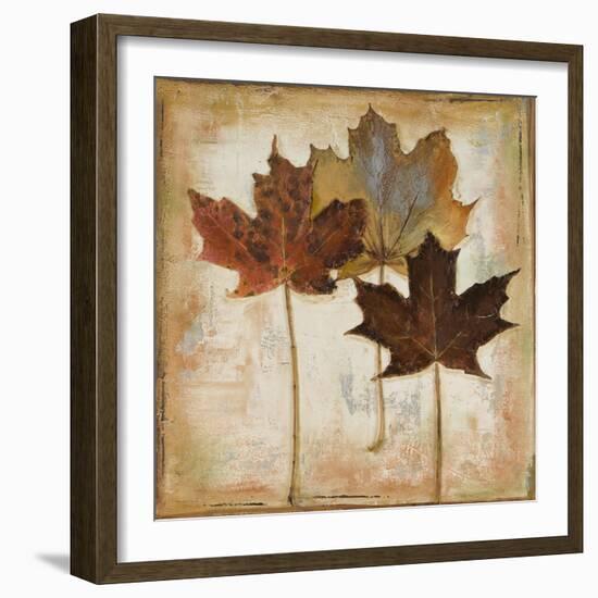Natural Leaves III-Patricia Pinto-Framed Art Print