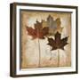 Natural Leaves III-Patricia Pinto-Framed Art Print