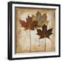 Natural Leaves III-Patricia Pinto-Framed Art Print