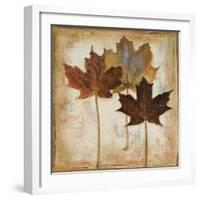 Natural Leaves III-Patricia Pinto-Framed Art Print