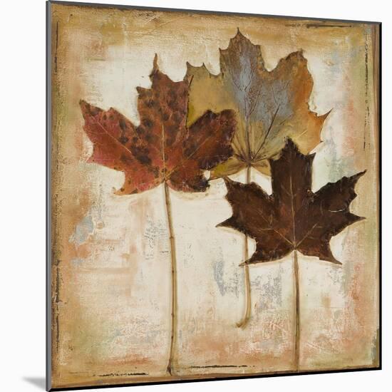 Natural Leaves III-Patricia Pinto-Mounted Art Print
