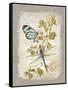 Natural Life, Dragonfly-Chad Barrett-Framed Stretched Canvas