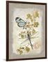 Natural Life, Dragonfly-Chad Barrett-Framed Art Print