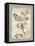 Natural Life, Dragonfly-Chad Barrett-Framed Stretched Canvas