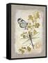 Natural Life, Dragonfly-Chad Barrett-Framed Stretched Canvas