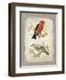 Natural Life, Feathered Friends-Chad Barrett-Framed Art Print