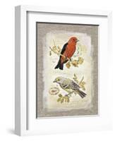 Natural Life, Feathered Friends-Chad Barrett-Framed Art Print