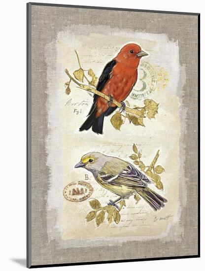 Natural Life, Feathered Friends-Chad Barrett-Mounted Art Print