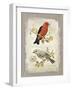 Natural Life, Feathered Friends-Chad Barrett-Framed Art Print