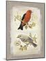 Natural Life, Feathered Friends-Chad Barrett-Mounted Art Print