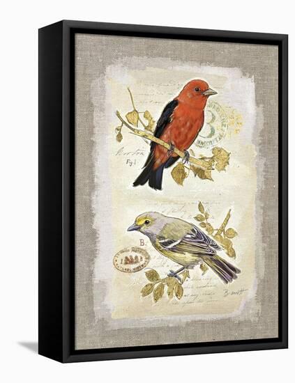 Natural Life, Feathered Friends-Chad Barrett-Framed Stretched Canvas
