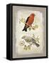 Natural Life, Feathered Friends-Chad Barrett-Framed Stretched Canvas