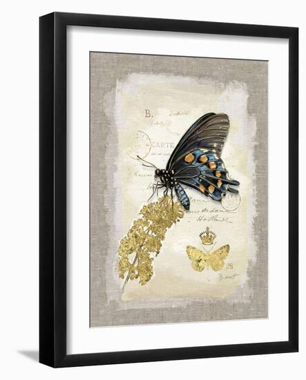 Natural Life, Rare Butterfly-Chad Barrett-Framed Art Print