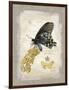 Natural Life, Rare Butterfly-Chad Barrett-Framed Art Print