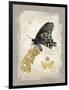 Natural Life, Rare Butterfly-Chad Barrett-Framed Art Print