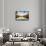 Natural Light-Philippe Sainte-Laudy-Framed Stretched Canvas displayed on a wall