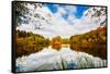 Natural Light-Philippe Sainte-Laudy-Framed Stretched Canvas