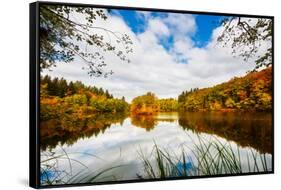 Natural Light-Philippe Sainte-Laudy-Framed Stretched Canvas