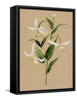 Natural Lily I-Annie Warren-Framed Stretched Canvas