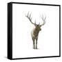 Natural Majesty I-Emily Adams-Framed Stretched Canvas