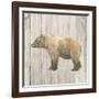 Natural Majesty III v2 on Wood-Emily Adams-Framed Art Print