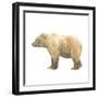 Natural Majesty III-Emily Adams-Framed Art Print