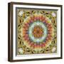 Natural Mandala Out of Flower Photographies-Alaya Gadeh-Framed Photographic Print