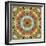 Natural Mandala Out of Flower Photographies-Alaya Gadeh-Framed Photographic Print