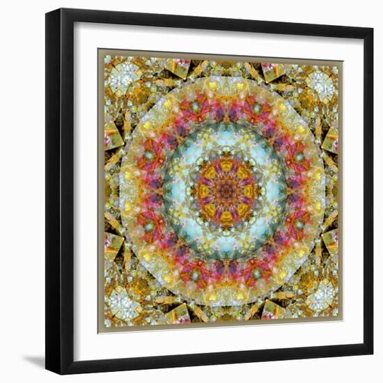 Natural Mandala Out of Flower Photographies-Alaya Gadeh-Framed Photographic Print