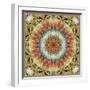 Natural Mandala Out of Flower Photographies-Alaya Gadeh-Framed Photographic Print