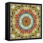 Natural Mandala Out of Flower Photographies-Alaya Gadeh-Framed Stretched Canvas