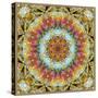 Natural Mandala Out of Flower Photographies-Alaya Gadeh-Stretched Canvas