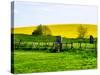 Natural Meadow Landscape and Abstract of Stones - Pewsey - Wiltshire - UK - England-Philippe Hugonnard-Stretched Canvas