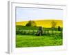 Natural Meadow Landscape and Abstract of Stones - Pewsey - Wiltshire - UK - England-Philippe Hugonnard-Framed Photographic Print