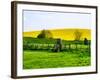 Natural Meadow Landscape and Abstract of Stones - Pewsey - Wiltshire - UK - England-Philippe Hugonnard-Framed Photographic Print