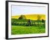 Natural Meadow Landscape and Abstract of Stones - Pewsey - Wiltshire - UK - England-Philippe Hugonnard-Framed Photographic Print